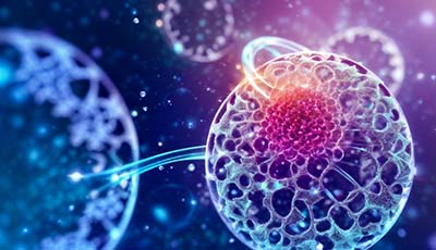 Cancer Science 2025