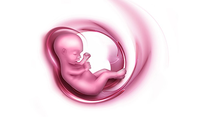 Gynecology Congress 2025