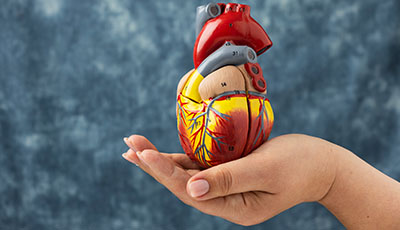 Heart Congress 2025