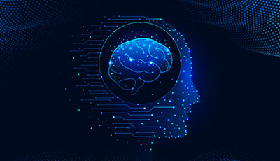 Neural science 2025
